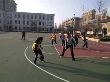 如何通过数据分析优化篮板训练效果?_2