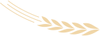 _2